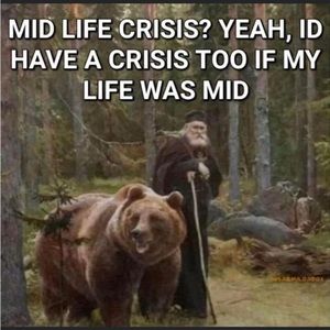 Meet your Posher, Avyn